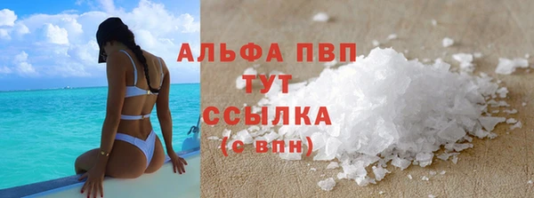 гашик Нефтекумск