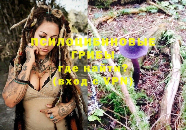 спайс Кондопога