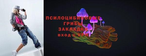 шишки Навашино