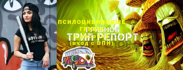 гашик Нефтекумск