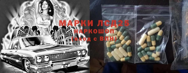 гашик Нефтекумск