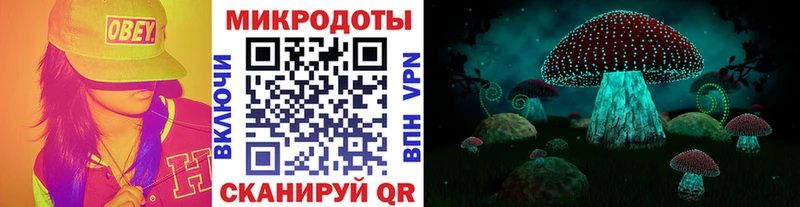 Псилоцибиновые грибы Psilocybine cubensis  Пущино 