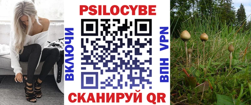 Псилоцибиновые грибы Psilocybe Пущино