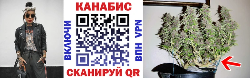 МАРИХУАНА White Widow Пущино